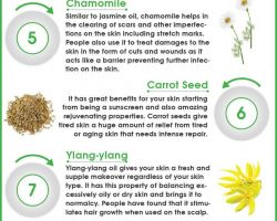 Essential-Oils-For-Flawless-Skin