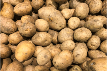 Potates
