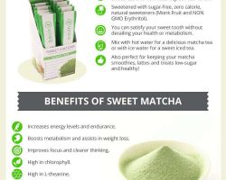 Matcha Tea Comparison