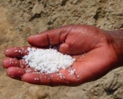 salt-in hand