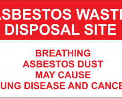 Effects of Asbestos