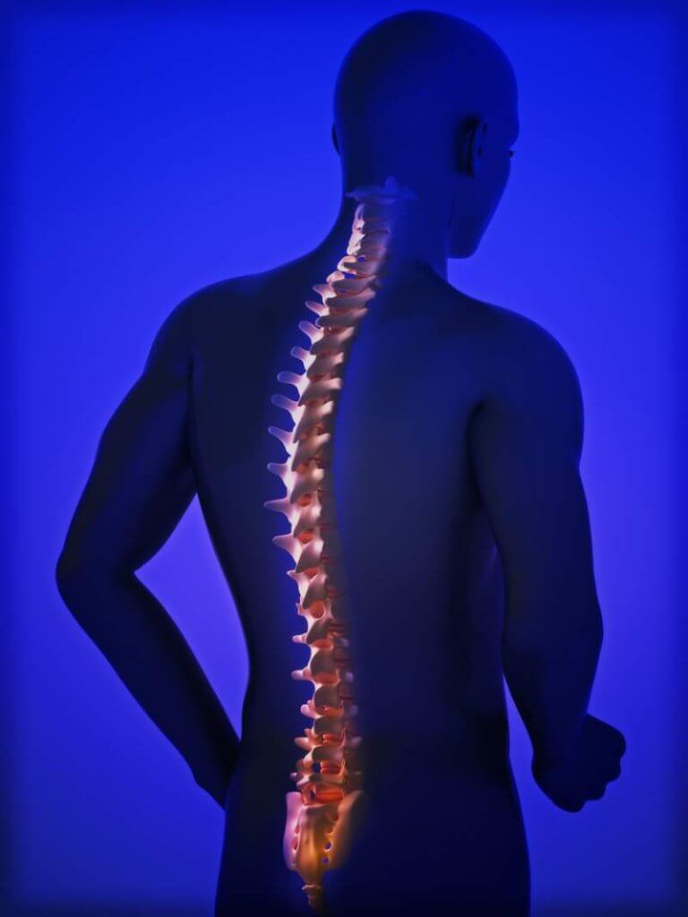 Benefits of a Healthy Spine Keep Healthy Living