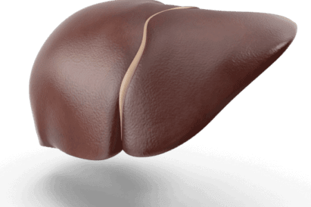 human-liver