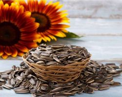 roasted-sunflower-seeds