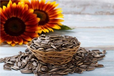 roasted-sunflower-seeds