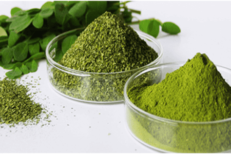 Moringa leaf powder