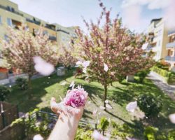 windy-spring-day