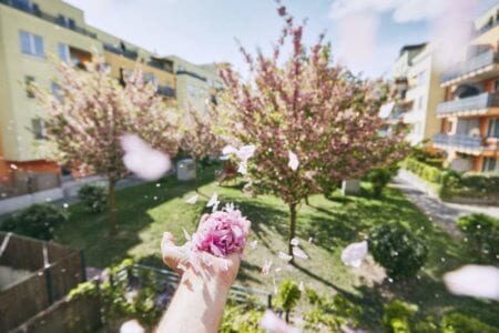windy-spring-day