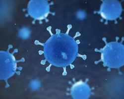 human-pathogenic-virus-and-bacterias-under