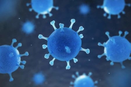 human-pathogenic-virus-and-bacterias-under