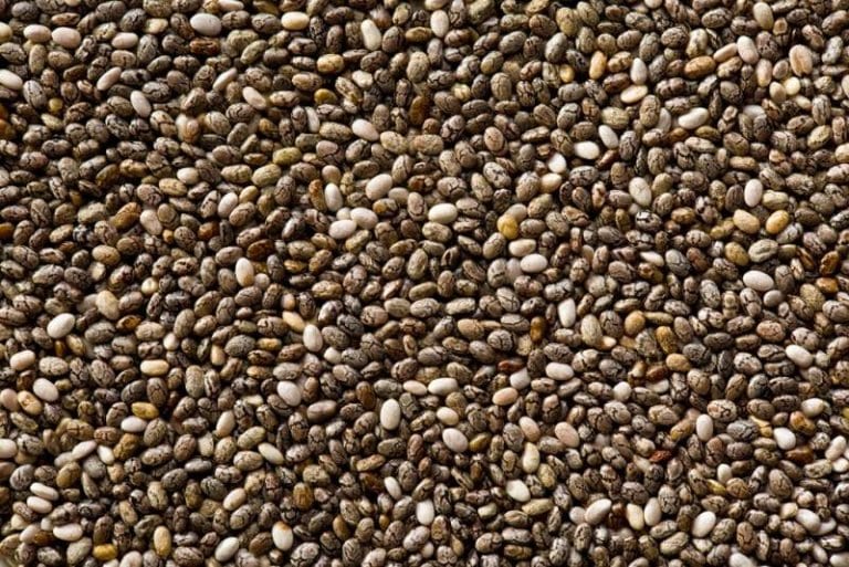 Top 7 Belly Fat Blasting Foods you should eat Keep Healthy Living