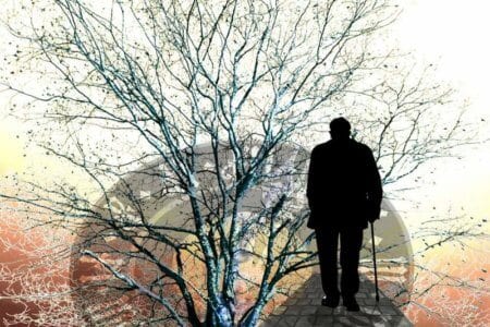 tree-old-men