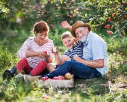 a-senior-couple-with-small-grandson-in-apple