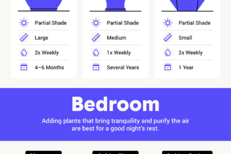 Low Maintenance Plants