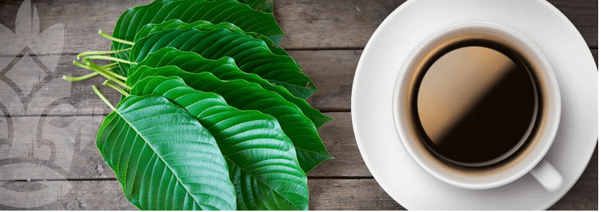 Are Kratom and Coffee Really That Similar? – Keep Healthy Living