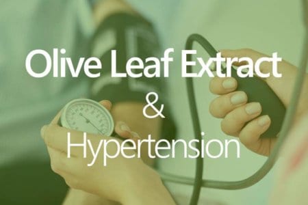 olive-leaf-extract-hypertension